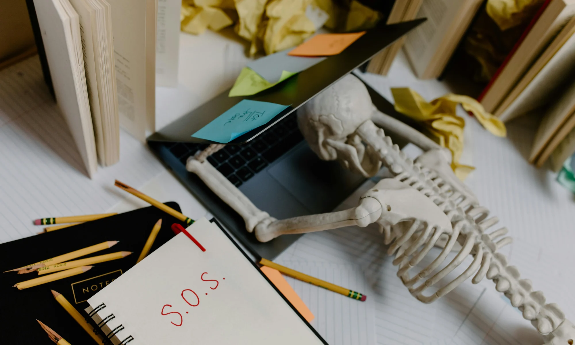 skeleton collapsed on revision laptop HGV theory revision