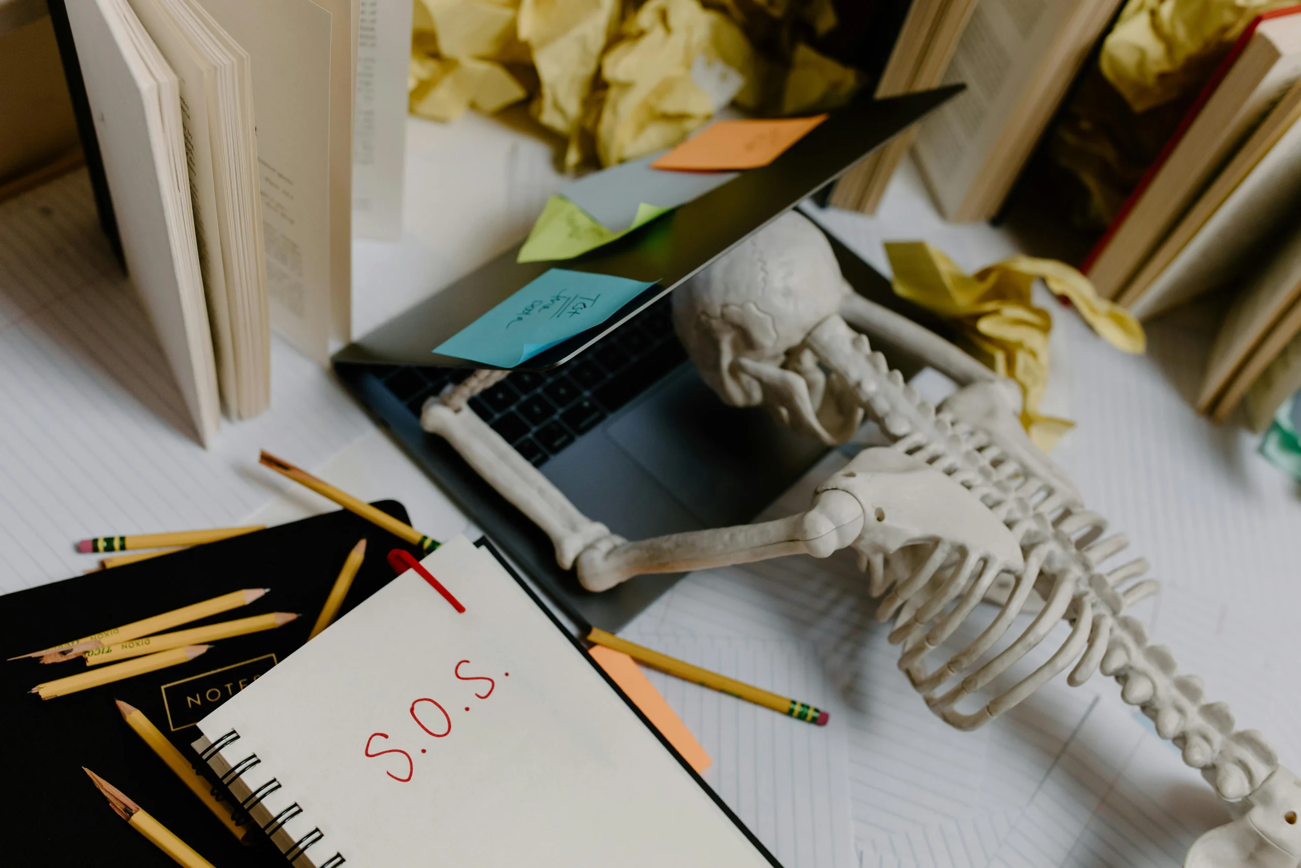 skeleton collapsed on revision laptop HGV theory revision